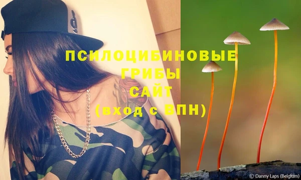 дживик Армянск