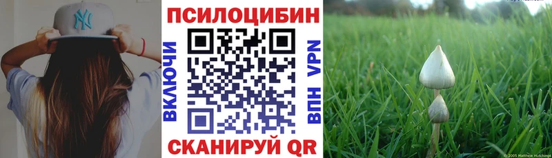 мориарти формула  наркошоп  Нижний Новгород  Галлюциногенные грибы ЛСД 