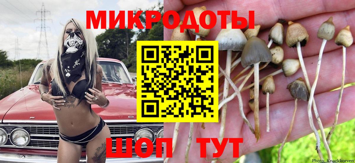 Псилоцибиновые грибы ЛСД Нижний Новгород